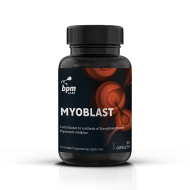 Myoblast